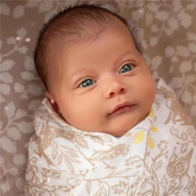 Aden + Anais - 3-Pack Swaddles - Silky Soft Natural, Woodland - Image 3