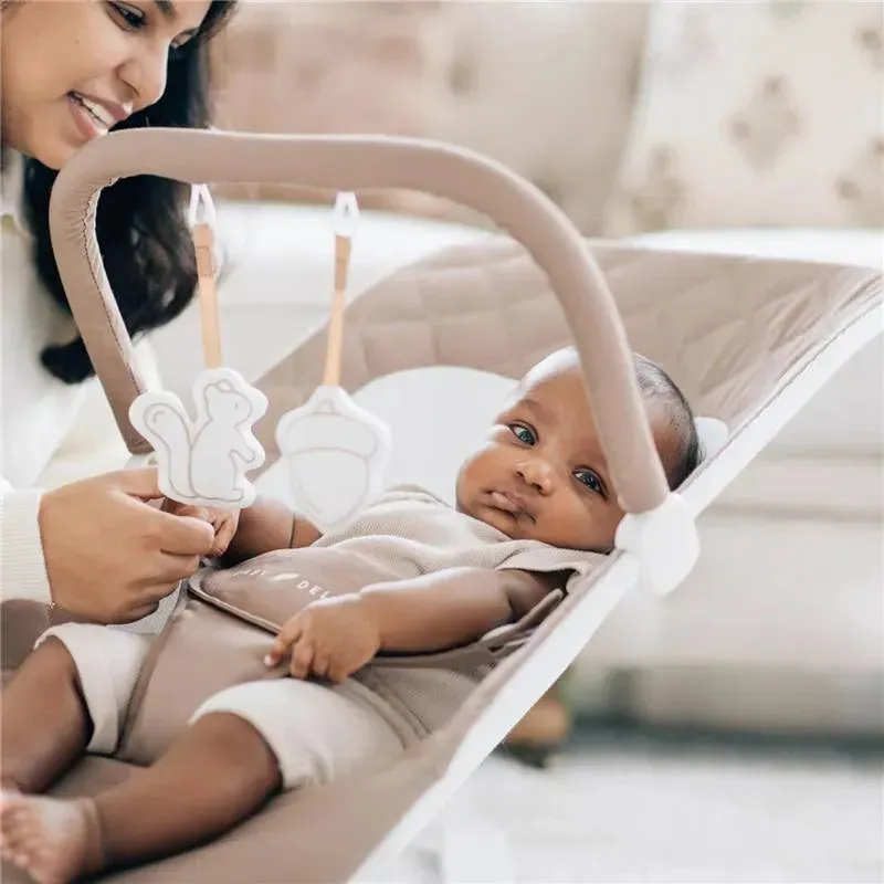Baby Delight - Alpine Deluxe Portable Bouncer, 0-6 months, Organic Mocha - Image 2