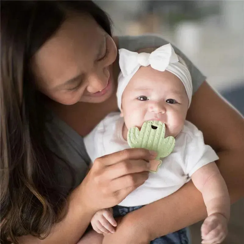 Bumkins Silicone Teether - Cactus - Image 7