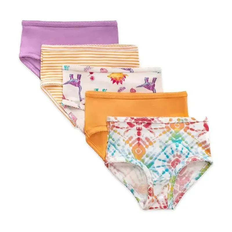 Burts Bees - 5Pk Dino Friends & Tie Dye Underwear
