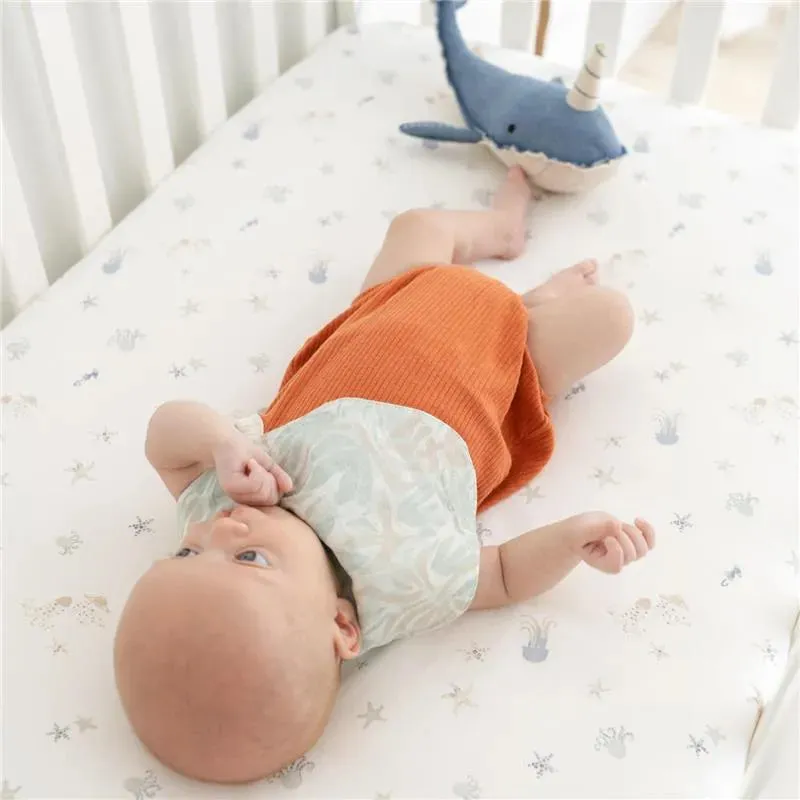 Crane Bedding - Cove Fitted Crib Sheet, Sea Life - Image 6