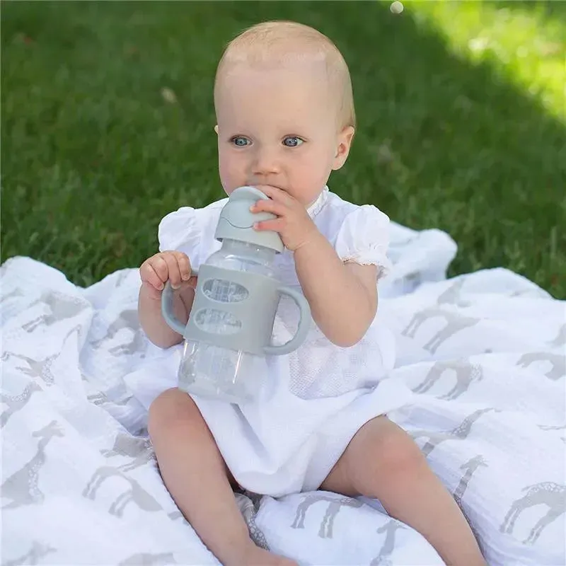 Dr. Brown's - Wide-Neck Sippy Straw Bottles W/ Silicone Handles, Gray - Image 3