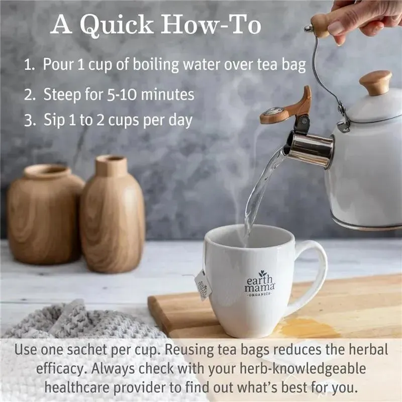 Earth Mama - Organic Ginger Nausea Tea - Image 7