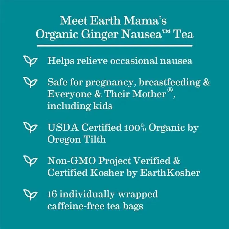 Earth Mama - Organic Ginger Nausea Tea - Image 9