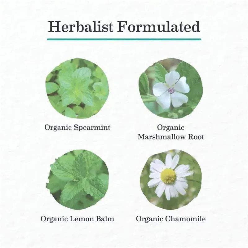 Earth Mama - Organic Heartburn Tea - Image 6