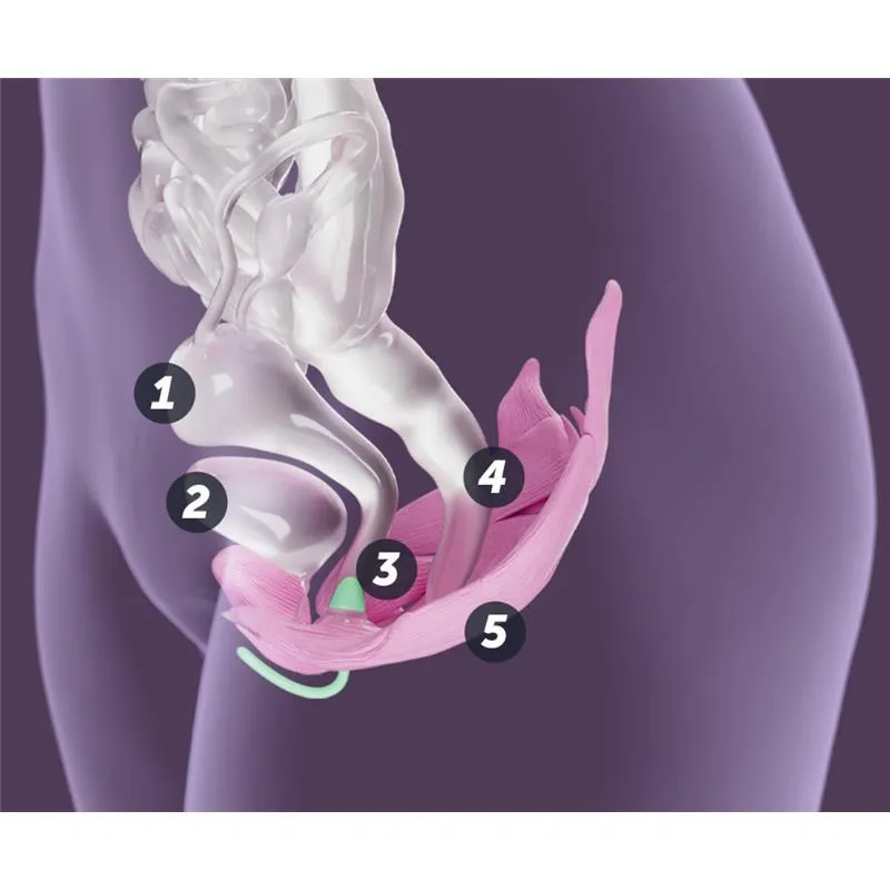 Elvie - Trainer Smart Kegel Exerciser - Image 4