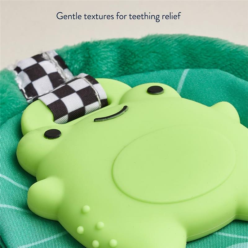 Itzy Ritzy - Silicone Sensory Teether, Frog - Image 5