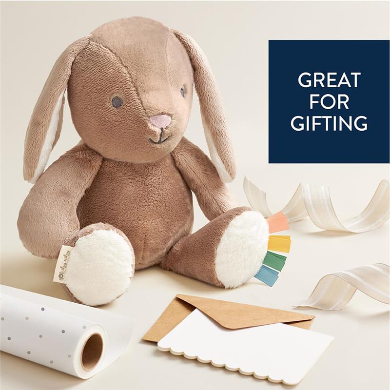 Itzy Ritzy - Snuggleverse™ Sweetie Snuggles™ Perfect, Huggable Plush Toy Billie They Bunny (Taupe) - Image 5