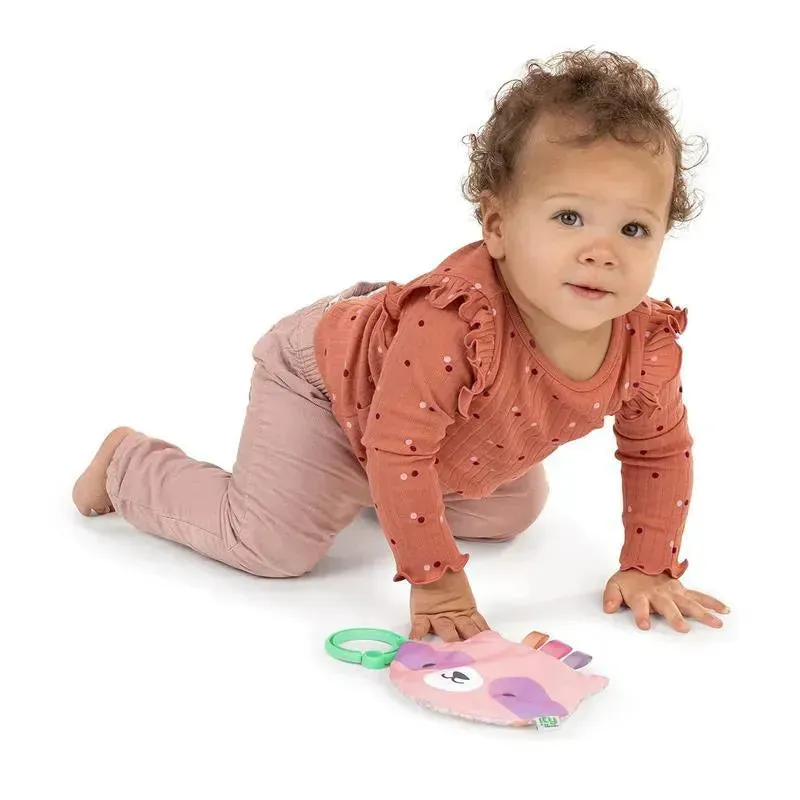Ingenuity - Raccoon Crinkle Toy for Newborn - Image 4