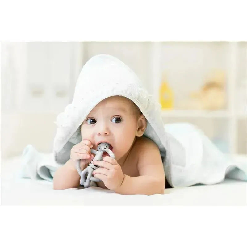 Kushies Silisafari Silicone Teether Zebra - Image 4