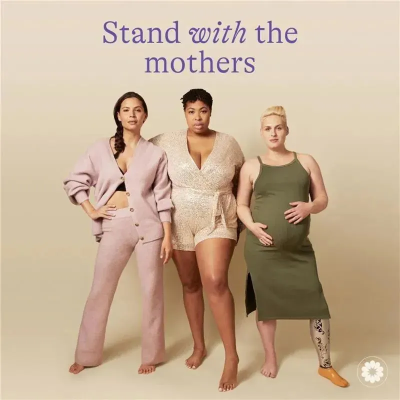 Lansinoh - Smart Breast Pump 3.0 Deluxe - Image 10