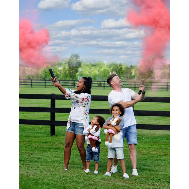 My Baby's Heartbeat - Gender Reveal Cannons - Image 3