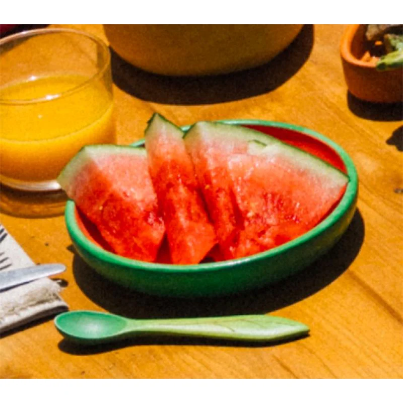 Oli & Carol - Wally The Watermelon Plate & Spoon Set - Image 3