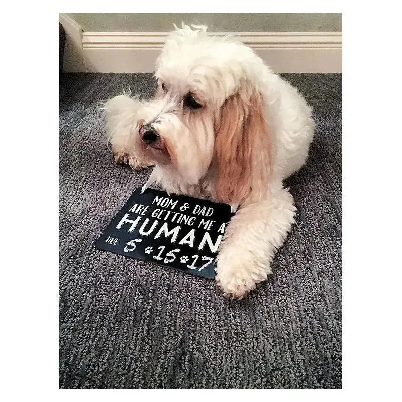 Pearhead Baby Announcement Chalkboard W/Adjustable Ribbon For Pets - Image 3