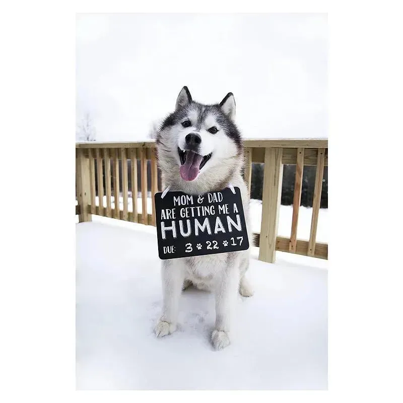 Pearhead Baby Announcement Chalkboard W/Adjustable Ribbon For Pets - Image 4