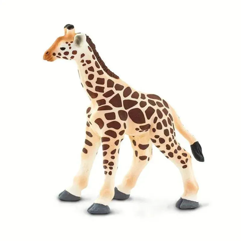 Safari - Giraffe Baby