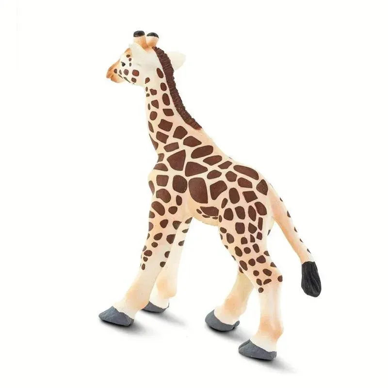 Safari - Giraffe Baby - Image 3