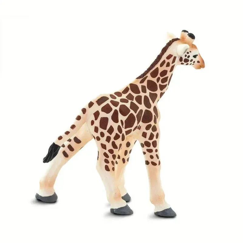 Safari - Giraffe Baby - Image 4