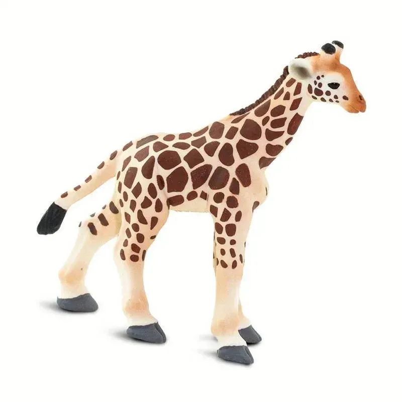 Safari - Giraffe Baby - Image 5