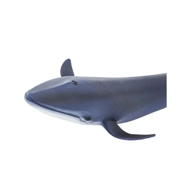 Safari Ltd Blue Whale Wild Safari Sea Life - Image 3