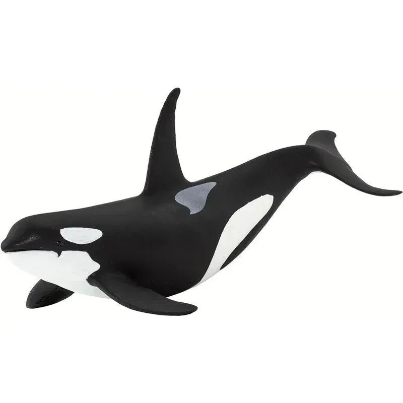 Safari Ltd. - Wild Safari Sea Life Orca Figurine