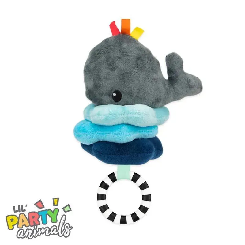 Sassy - Wavy Whale Jitter