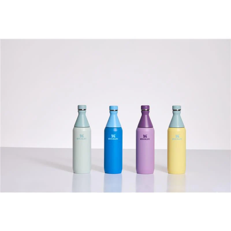 Stanley All Day Slim Bottle 20 oz | Leakproof Twist on Lid | Slim Design for Travel and Gym | Insulated Stainless Steel Water Bottle | BPA-Free | L - Image 3