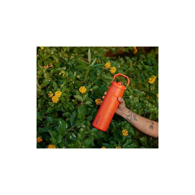 Stanley - The Iceflow™ Flip Straw 2.0 Bottle 24 Oz / 0.71 L Pomelo - Image 7