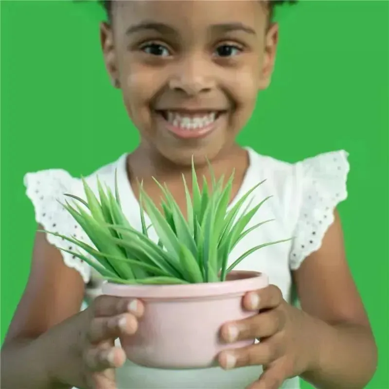 The First Years - GreenGrown Reusable Toddler Snack Bowls with Lids - Pink - 4pk/8oz - Image 5