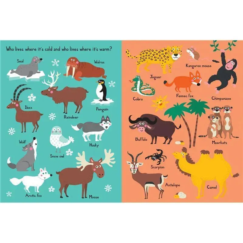 Workman Publishing My Book Of Animal Opposites - Image 5